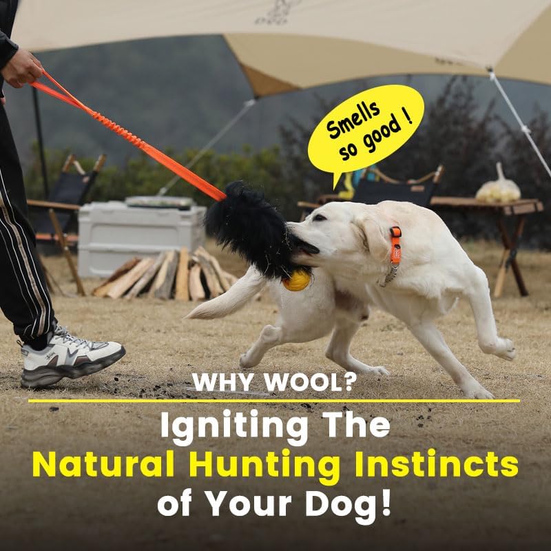 HOWGO Dog Rope Toy,Dog Bungee Chaser Toy 100% Sheepskin,Sheep Smell Tug Toy for All Breeds (Purple, with Rubber Ball)