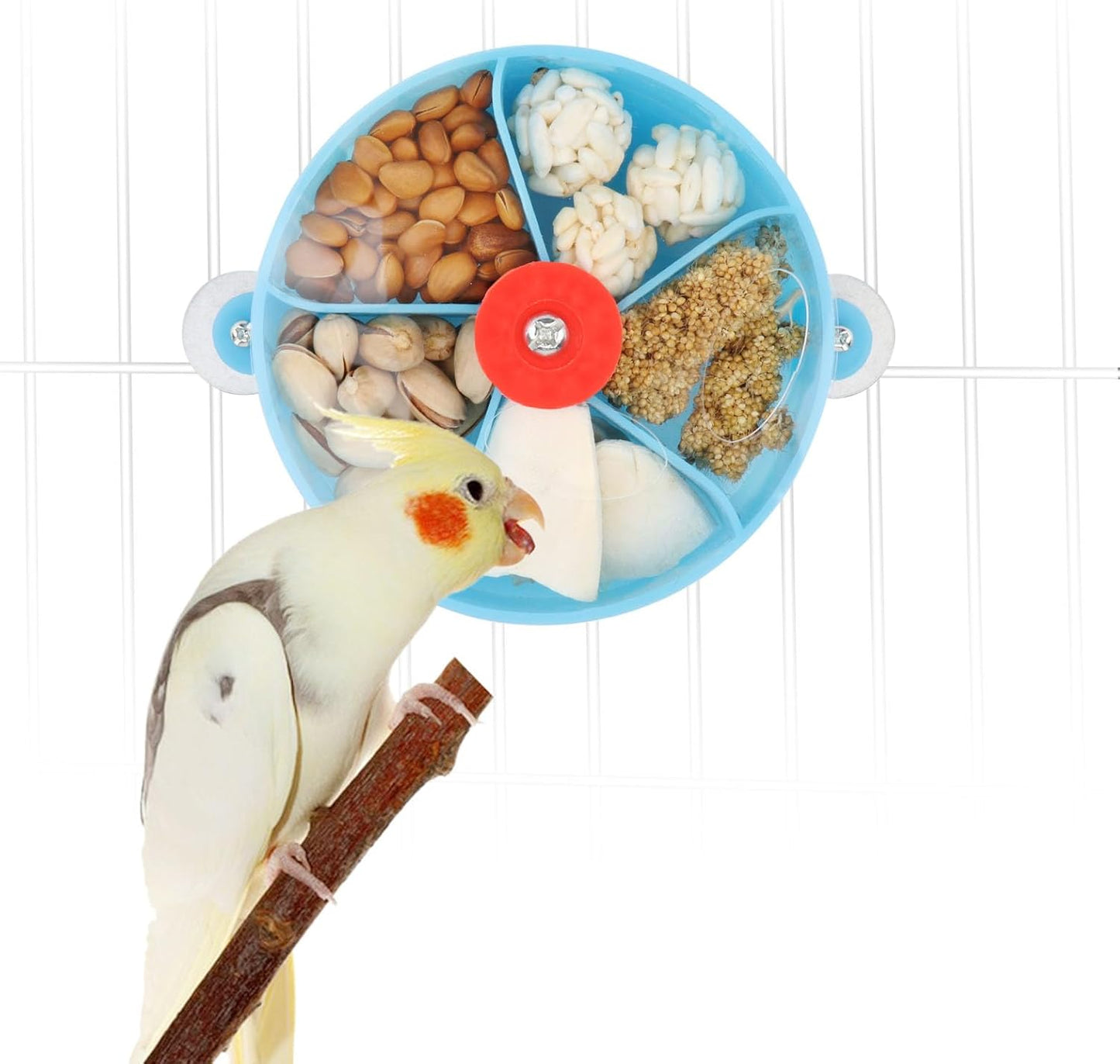 Bird Creative Foraging System Wheel Seed Food Ball Rotate Training Toy for Small and Medium Parrots Parakeet Cockatiel Conure (Blue)