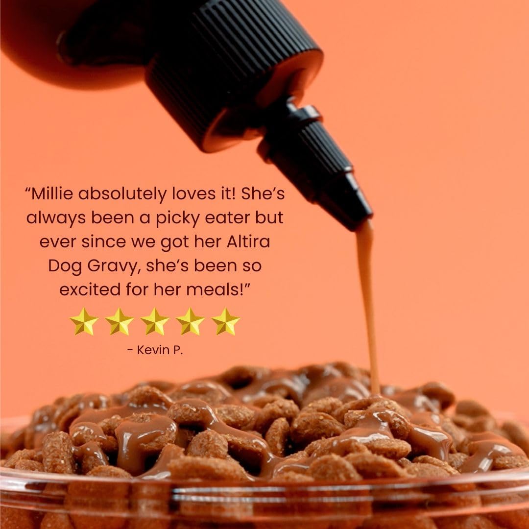 Everyday Dog Gravy Beef - Premium Wet Dog Food Gravy Toppers for Dry Food – Tasty & Nutritious with Essential Vitamins and Supplements – Hip and Joint Supplement