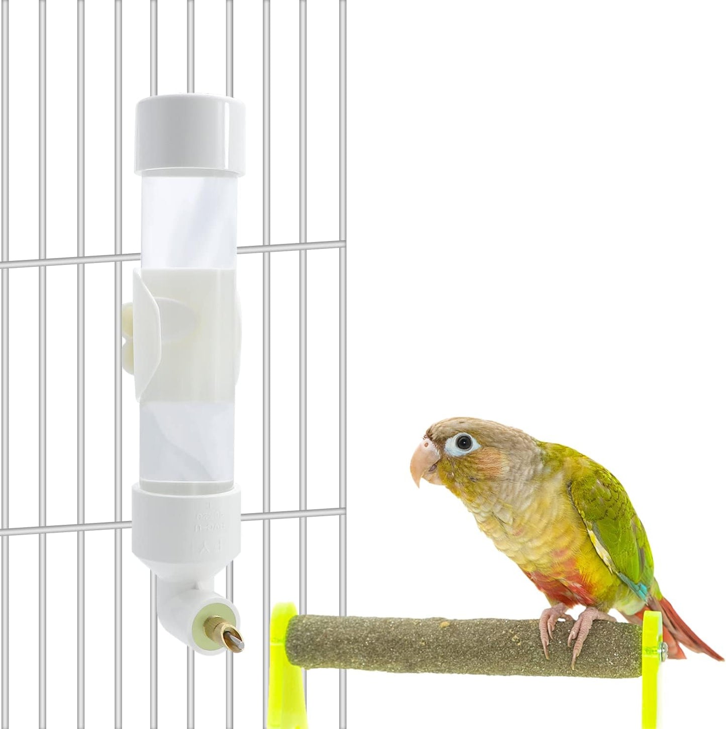 Bird Water Dispenser Parrot Waterer Automatic Bird Water Feeder for Medium Birds Parakeet Cockatiel Conure Caique (Small)