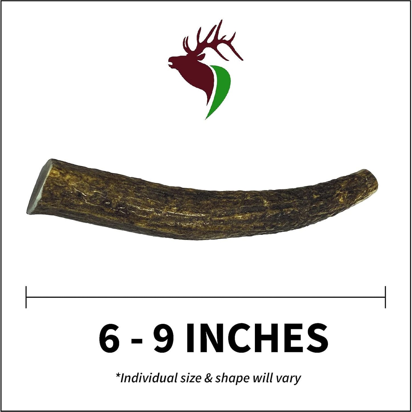 Medium Whole Single Pack (for 20-45 lb Dogs and Puppies) Premium Grade Elk Antler for Dogs (1 Piece) Sourced in The USA