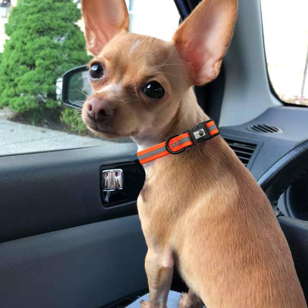 NIMBLE Dog Collar Waterproof Pet Collars Anti-Odor Durable Adjustable PVC & Polyester Soft with Reflective Cloth Stripe Basic Dog Collars S/M/L Sizes (Small (9.45”-14.17”inches), Orange)