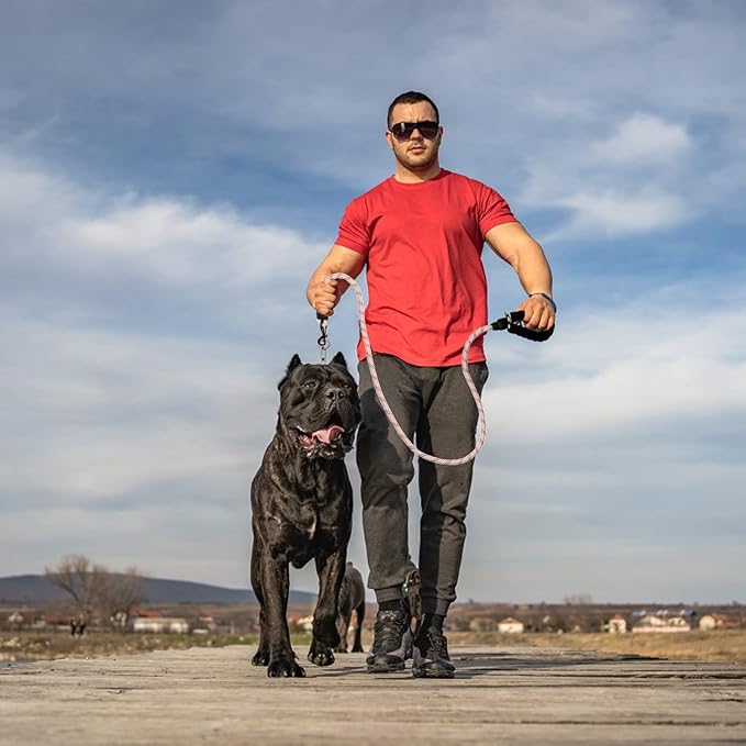 BEAUTYZOO Heavy Duty Rope Dog Leash 6 Pack, 6FT Nylon Pet Leash with Reflective Thread, Soft Padded Handle Thick Lead Leash for Large Medium Dogs Small Puppy, 1/2inch X 6 FT (18~120 lbs)