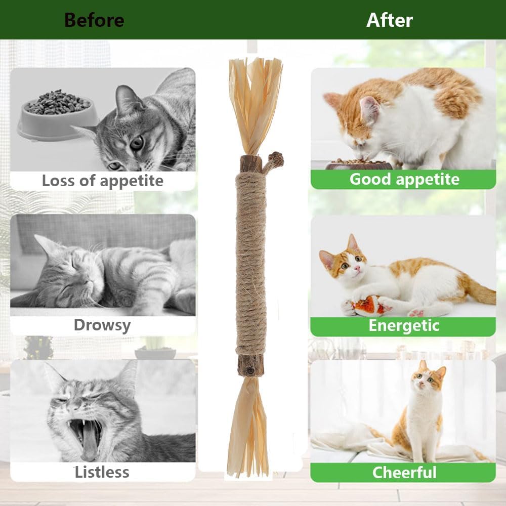 6 PCS Silvervine Sticks for Cats - Natural Cat Chew Toys for Teeth Cleaning, Kitten Teething & Aggressive Chewers