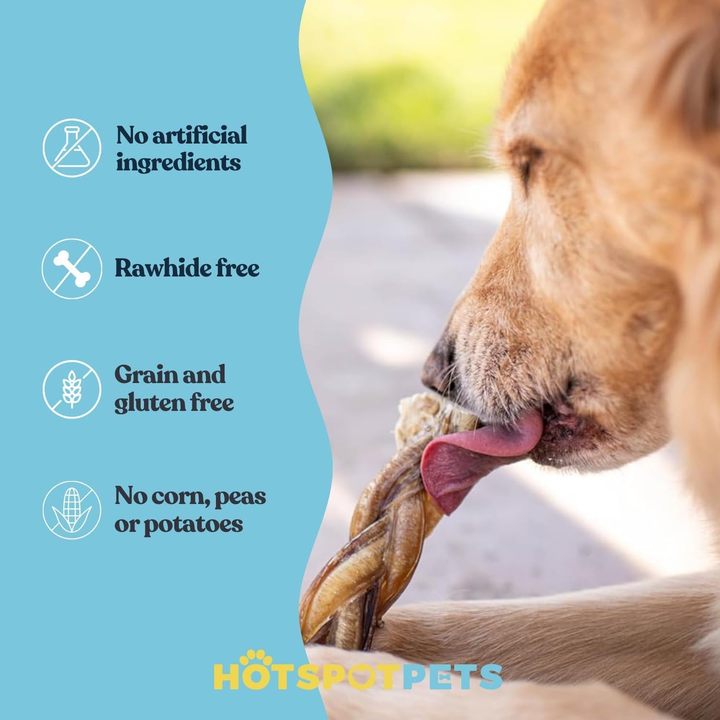 hotspot pets Braided Bully Sticks for Dogs - 6 Inch Stix (10 Pack) All Natural Long Lasting Twisted Beef Pizzle Dog Chew Treats - Low Odor, Grain Free Fully Digestible Rawhide Alternative Sticks