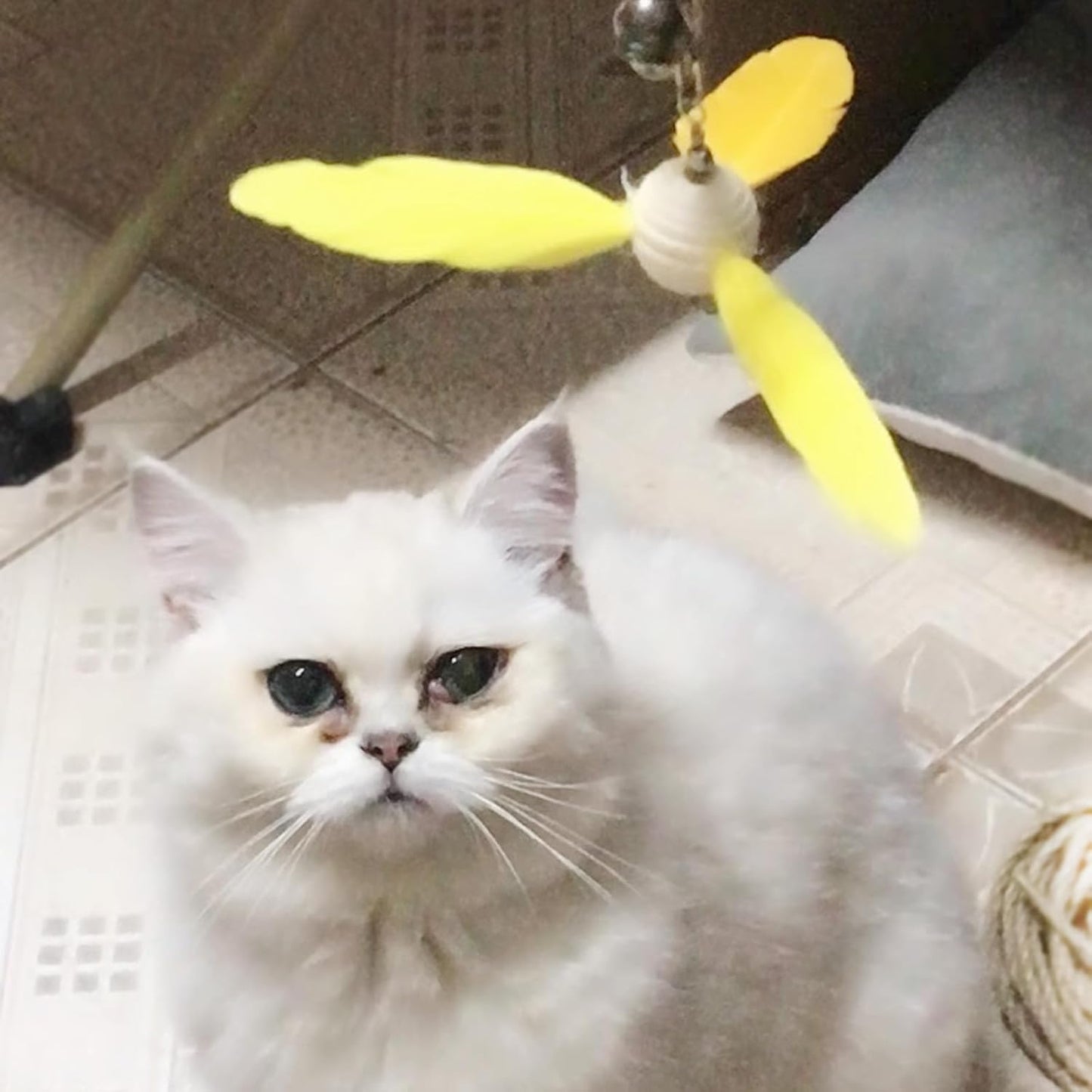 Cat Wands for Indoor Cats, Safe Teaser Wand with 3 Spinning Feather Propeller Attachments Interactive Cat Toys for Having Fun Exerciser Playing