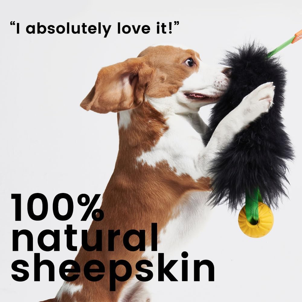 HOWGO Dog Rope Toy,Dog Bungee Chaser Toy 100% Sheepskin,Sheep Smell Tug Toy for All Breeds (Black, Long Without Ball)