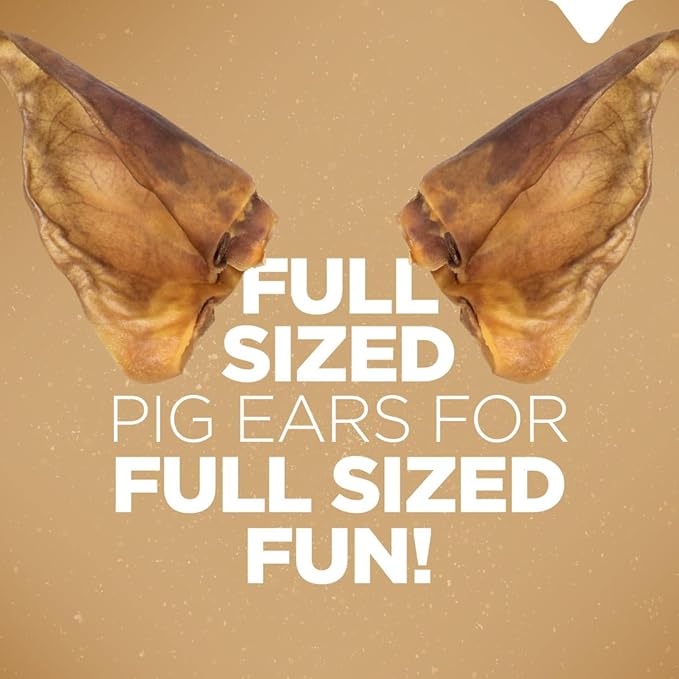 Natural Farm Pig Ears for Dogs (25 Pack), All-Natural WholeThick Pigs Ears, Single Ingredient & Highly Digestible, Better Than Rawhide- Dog Snacks, Dog Pig Ears for Puppy, Medium & Large Dogs