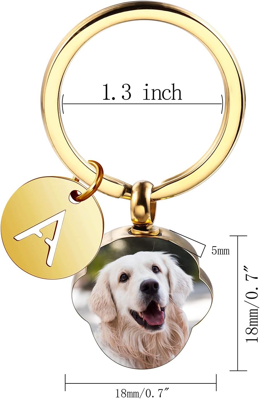 Personalized Cremation Urn Keychain for Pet Human Ashes Custom Photo/Name/Date Dog Cat Paw Print Pendant Stainless Steel Keyring Memorial Keepsake Keychain for Women Men (Style B2)