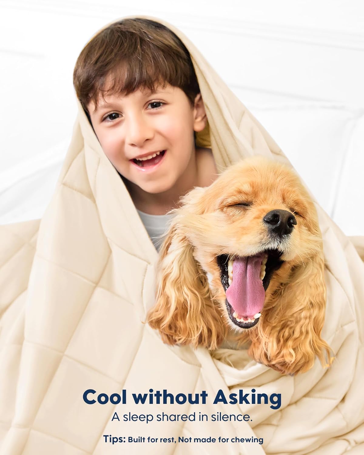 KASBAH Cooling Blanket for Dogs Waterproof Dog Blanket for Couch Bed Car Seat Washable Pet Blankets Reversible Design (Cool,Warm) Q-MAX>0.5 Dog Cooling Mat in 3 Sizes for Small, Medium & Large Dogs