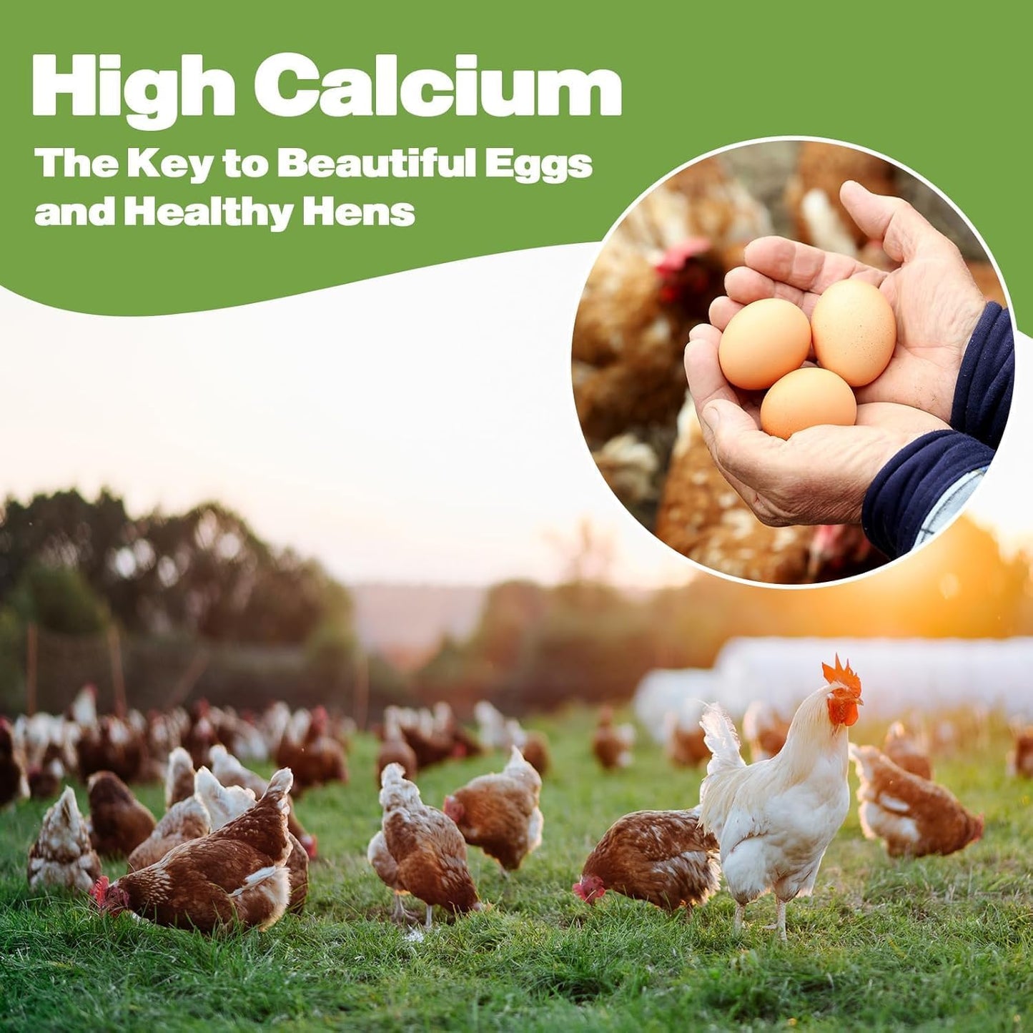 5LB Dried Black Soldier Fly Larvae, 86X Calcium Than Dried Mealworms, High Protein Non-GMO Organic Chicken Feed Reptile & Amphibian Food