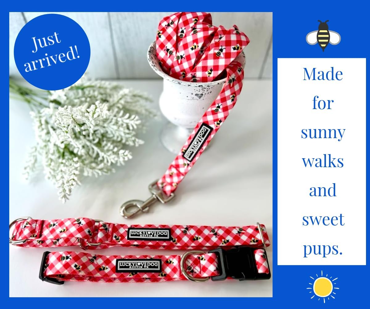 Lucky Love Dog - Easy Click Buckle Dog Collar with Leash Set Combo, Durable & Comfortable for Male & Female Dogs, Pet Collar for Small to Large Dogs, Secure Fit - Bailey Combo, Large