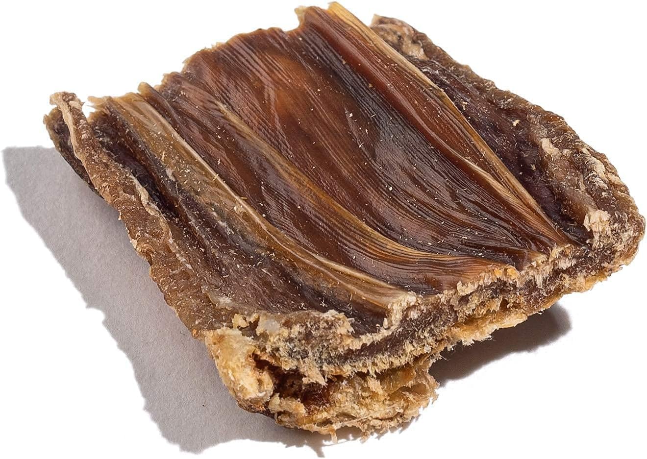 Jack&Pup Beef Gullet Bites (1 LB) Gullet Jerky for Small, Medium Dogs, Single Ingredient Beef Esophagus Dog Treats for Puppies