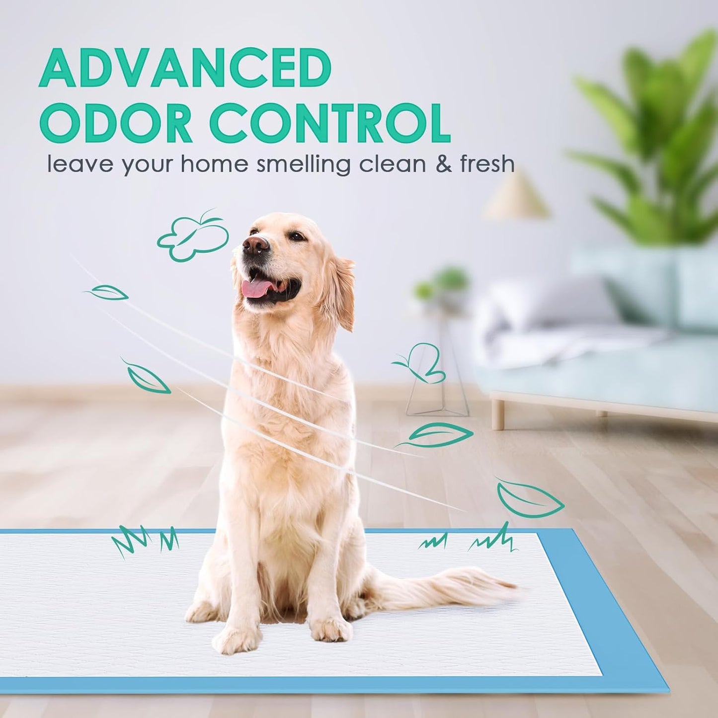 JollyMate Dog Pee Pads Extra Large 30"x36", X-Large Puppy Training Pads with Adhesive Tabs, 6 Layers Thick, Super Absorbent, Leak-Proof, Quick-Dry, Potty Pads for Dogs and Puppies (100, 30*36IN)