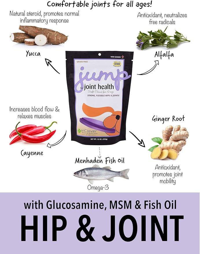 Jump Soft Chews for Daily Joint Care and Endurance Support for Dogs