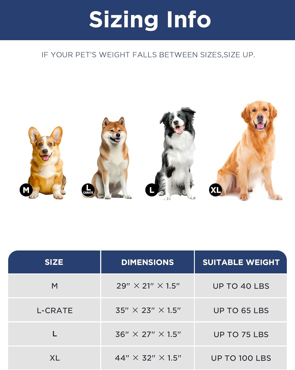 Low-Profile Dog Pad Mat for Extra Large Dogs, Washalbe Ultra Soft Dog Crate Mat, High Density Foam Pet Beds for Indoor & Outdoor Dogs, 44" x 32", Gray