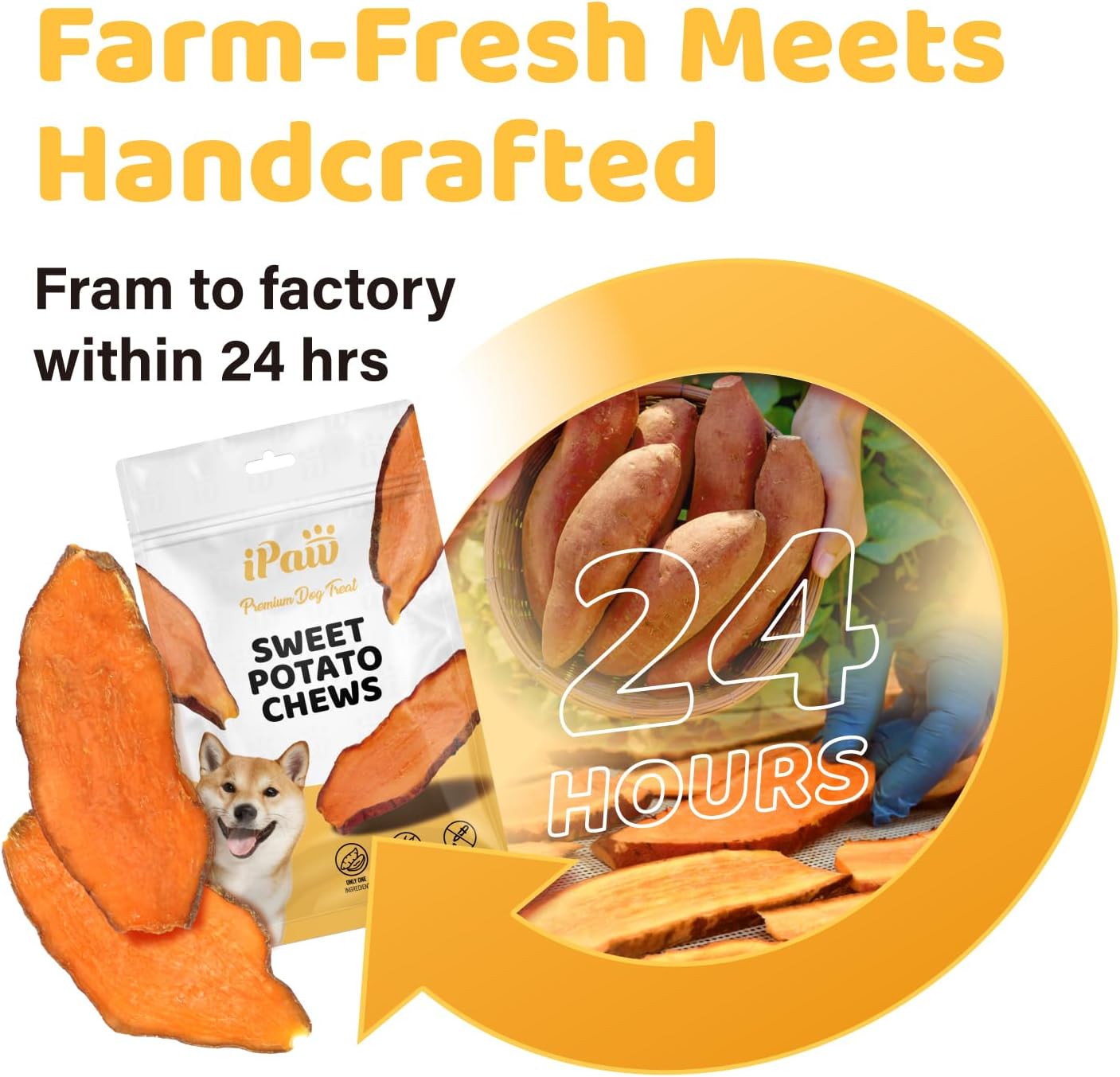 iPaw Sweet Potato Chews, Single Ingredient Dog Treats for Vegetarian, All Natural Human Grade Puppy Chew, Rawhide Alternative, Hypoallergenic, Easy to Digest