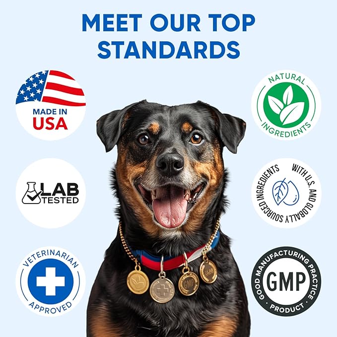 Omega 3 Fish Oil for Dogs Chews - Dog Skin & Coat Supplement for Itch Relief, Hot Spot Treatment - USA Product - Salmon Oil for Dogs Itching Skin Relief, Shedding, Hip & Joint Health - 120 Soft Treats