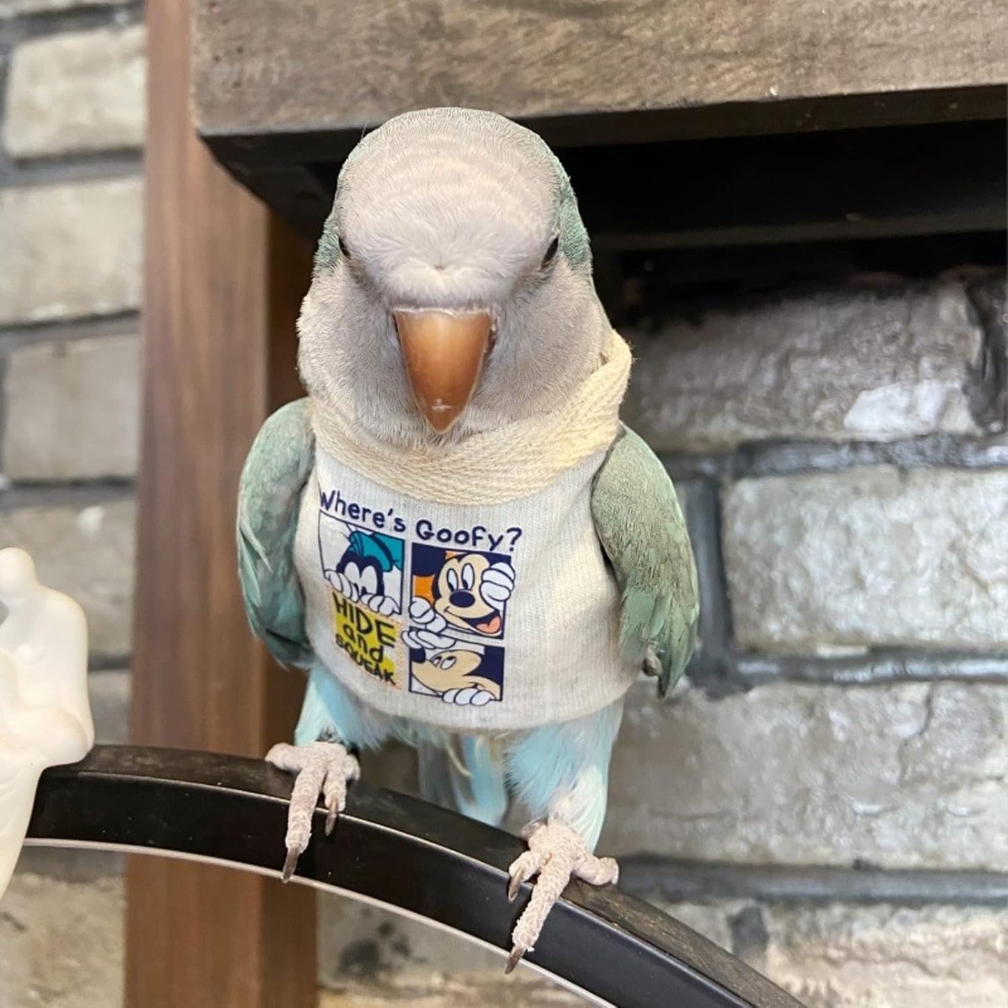 Sun Conure Bird Diaper Flight Suit Frog Shape Hoodie Cosplay Photo Prop for Parrots, Parakeet, Cockatiel - Bird Hoodie Small Animals Apparel (White Without Hat, Small)