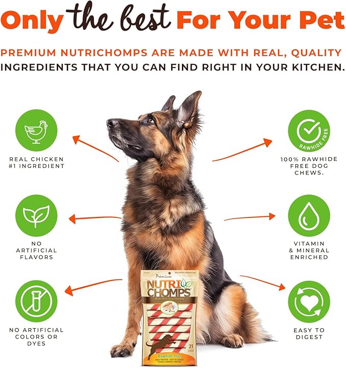 NutriChomps Dog Chews, 6-inch Twists, Easy to Digest, Rawhide-Free Dog Treats, 21 Count, Real Chicken flavor