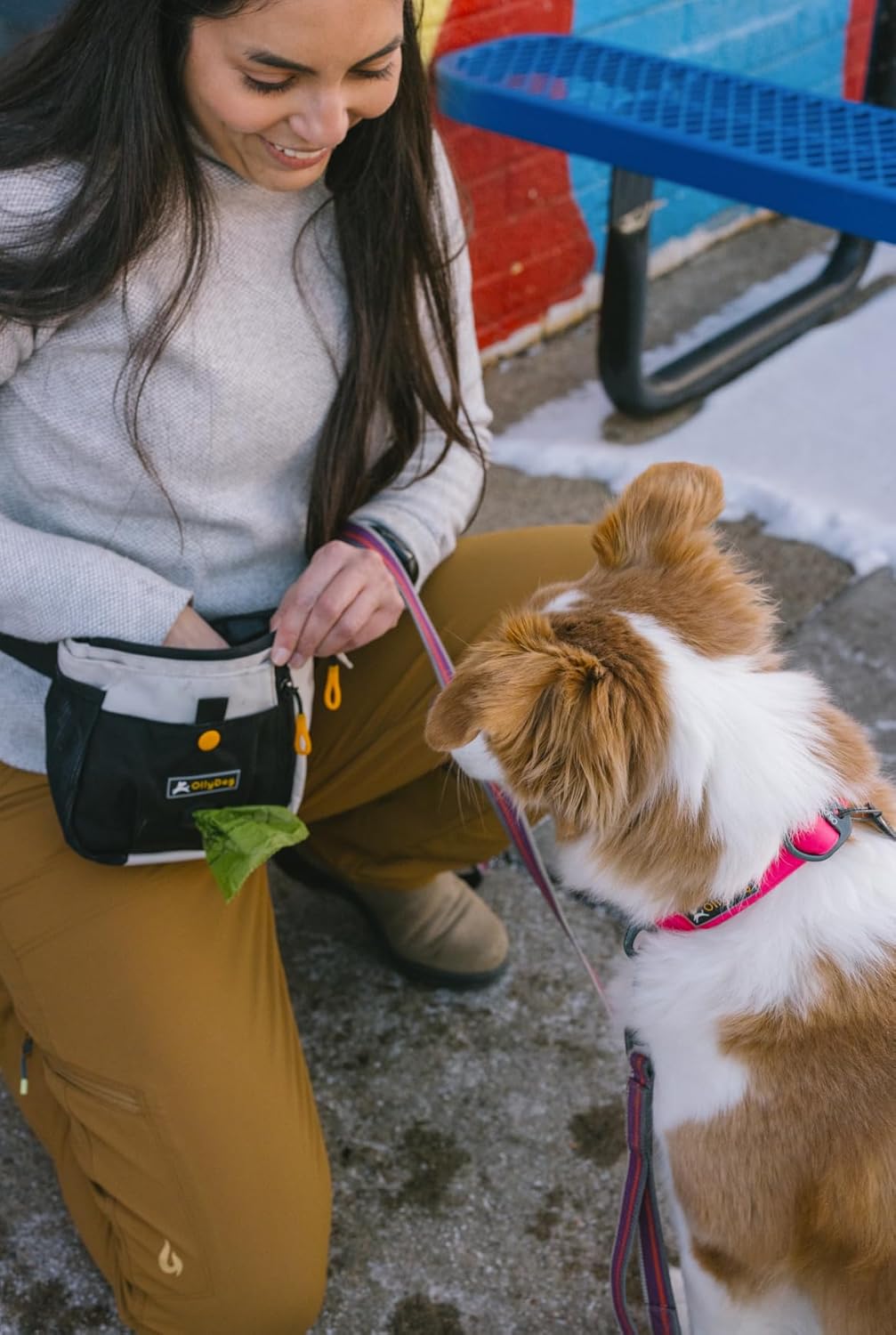 OllyDog Backcountry Day Bag | Hands-Free Dog Training Treat Pouch | Fanny/Hip Pack with Zipper Closure & Built-in Poop Bag Dispenser | Removable Waist Clip (Bluff)