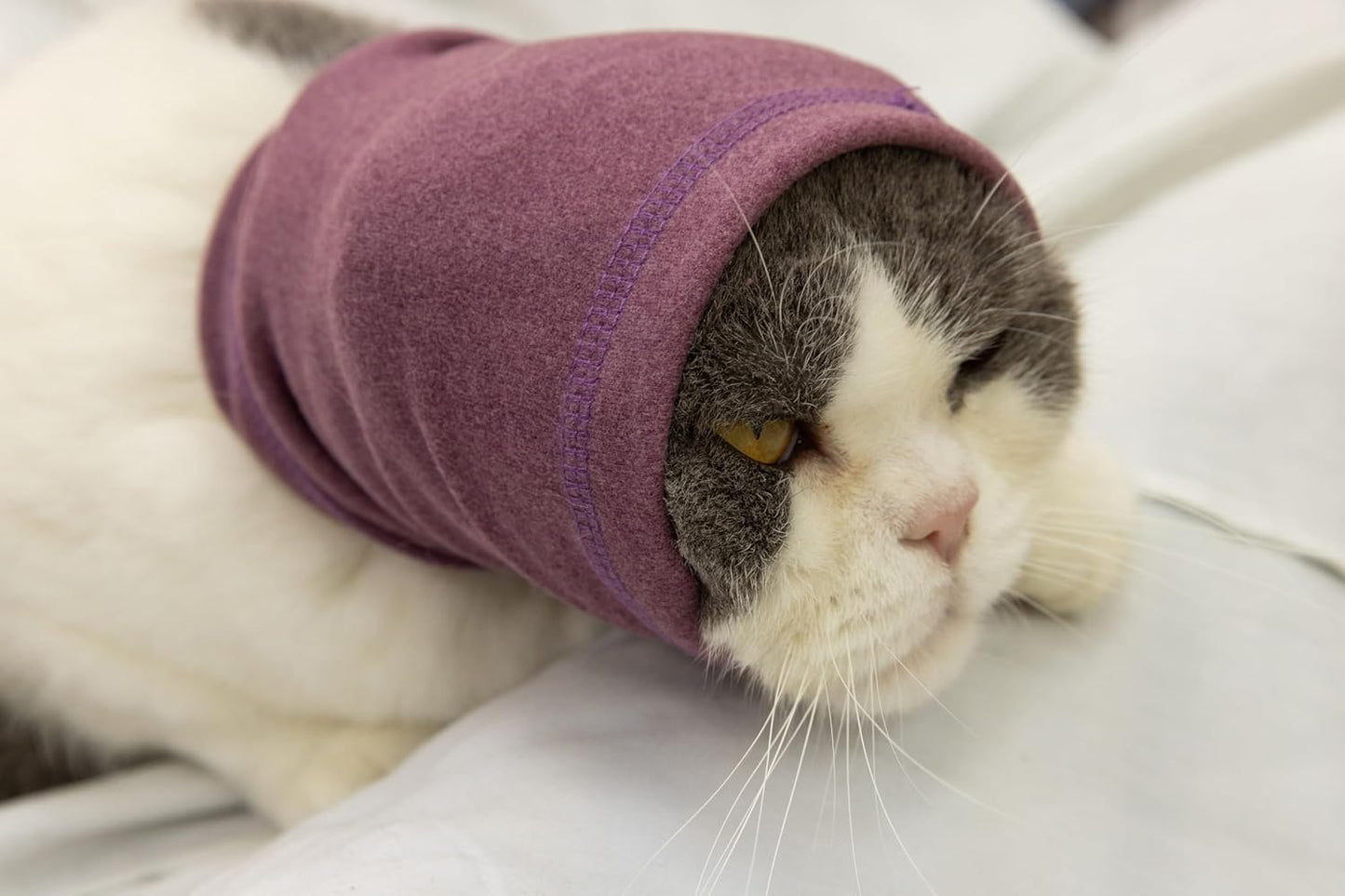 Cat Hematoma Ear Wrap, Cat Snood Anxiety Relief, Bath Accessories for Pet Grooming & Force Drying (Pail Lilac S)