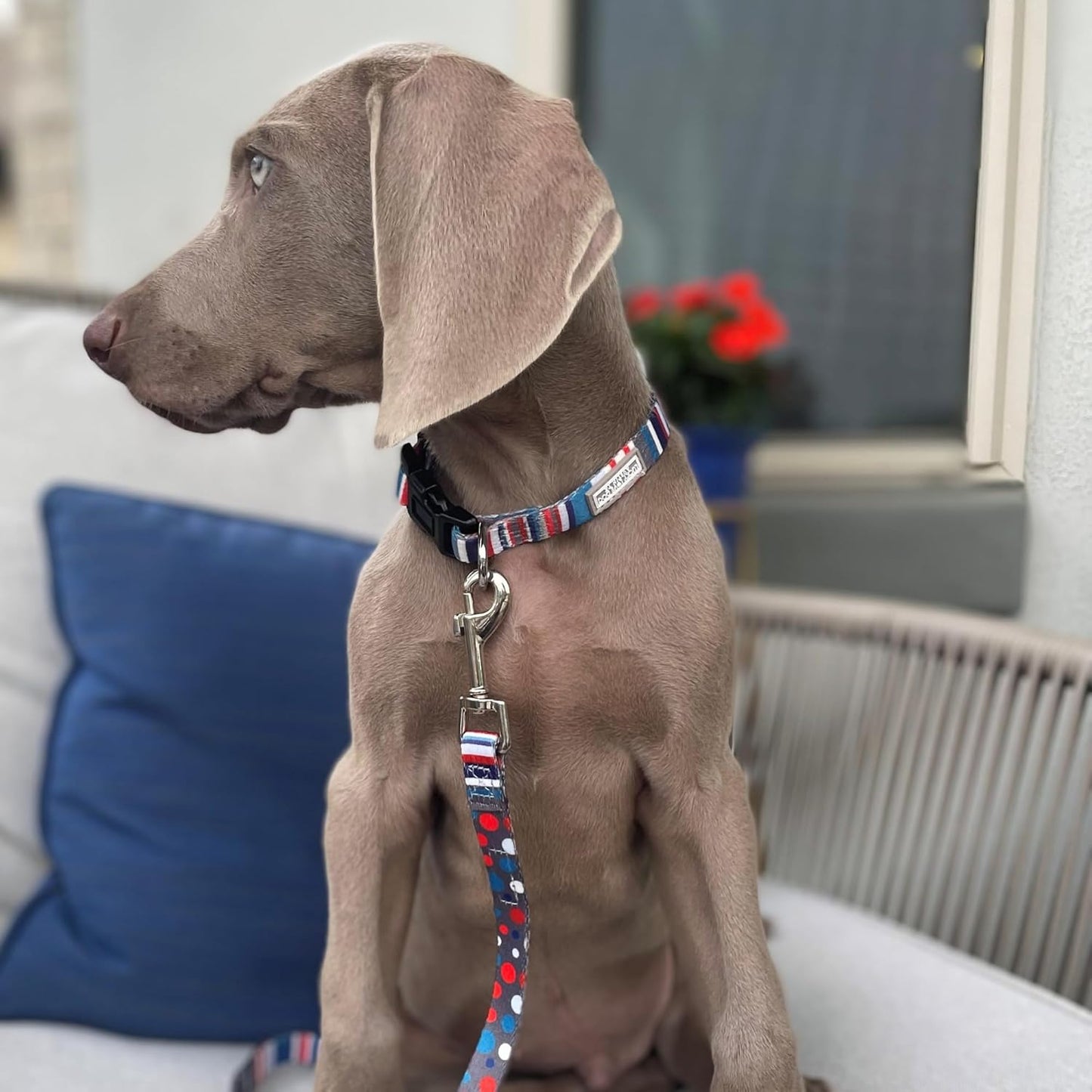 Lucky Love Dog - Adjustable Dog Collar and Leash Set with Easy Click Buckle for Small to Large Dogs, Durable, & Comfortable Collar for Male & Female Dogs, Puppies & Adult Ones - Linus Combo, Large