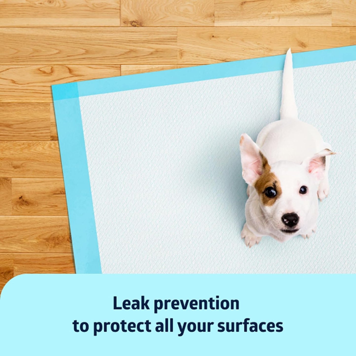 Medline Moderate Absorbency Underpad, 23" x 36", 150 Count, Disposable Chucks, Bed, Furniture & Surface Protection, For Kids, Adults, Elderly, Puppy Pad, Changing Pad, Incontinence Pee Pad