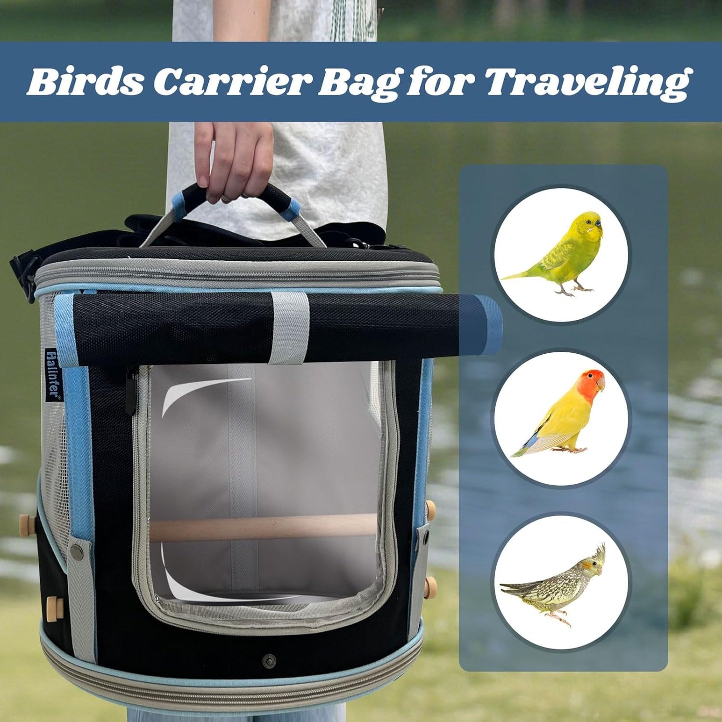 Bird Carrier with Clear Windows, Large Size, Portable Handle, 10 Ventilation Holes, Wooden Perch, Metal Tray, Side Access (Black Oxford, Medium)