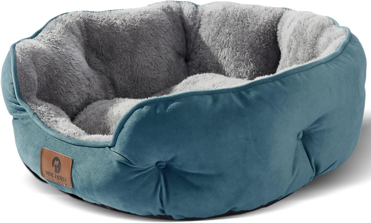 Asvin Small Dog Bed for Small Dogs, Cat Beds for Indoor Cats, Pet Bed for Puppy and Kitty, Extra Soft & Machine Washable with Anti-Slip & Water-Resistant Oxford Bottom, Teal, 20 inches