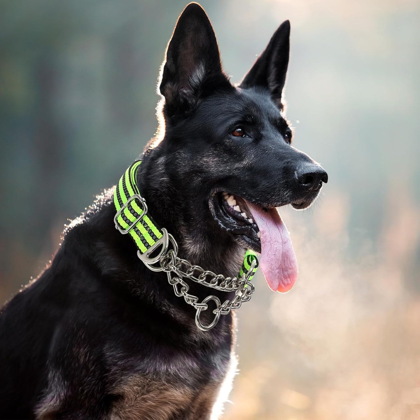 Martingale Collar Dog with Reflective,Nylon Soft Padded Adjustable Choke Collar for Large Breed Dogs, Medium, XL, XXL - Training & Walking Pet Safety Collar (Green M)