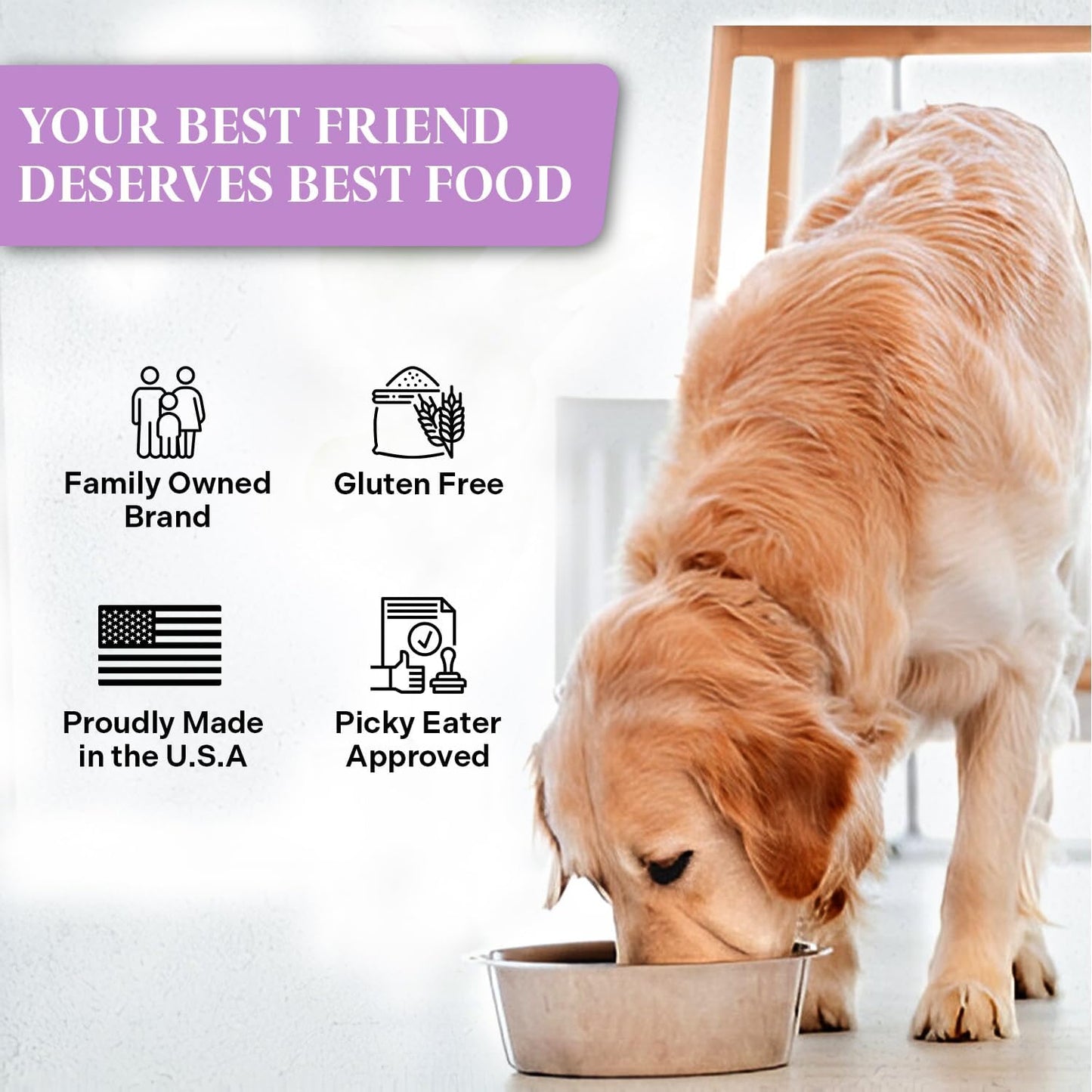 Healthy Dogma - PetMix Dehydrated Dog Food for Allergies, Joint Support & Mobility - Grain Free, Raw, Homemade Dog Food (Mobility, 10 lbs)