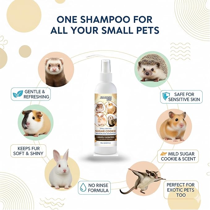 Waterless Shampoo for Small Critters - 8oz Cruelty Free Dry Shampoo - No Rinse for Pet Ferrets, Guinea Pigs, Hedgehogs, Sugar Gliders, Rabbits & Hamsters (8 oz, Sugar Cookie Lightly Scented)