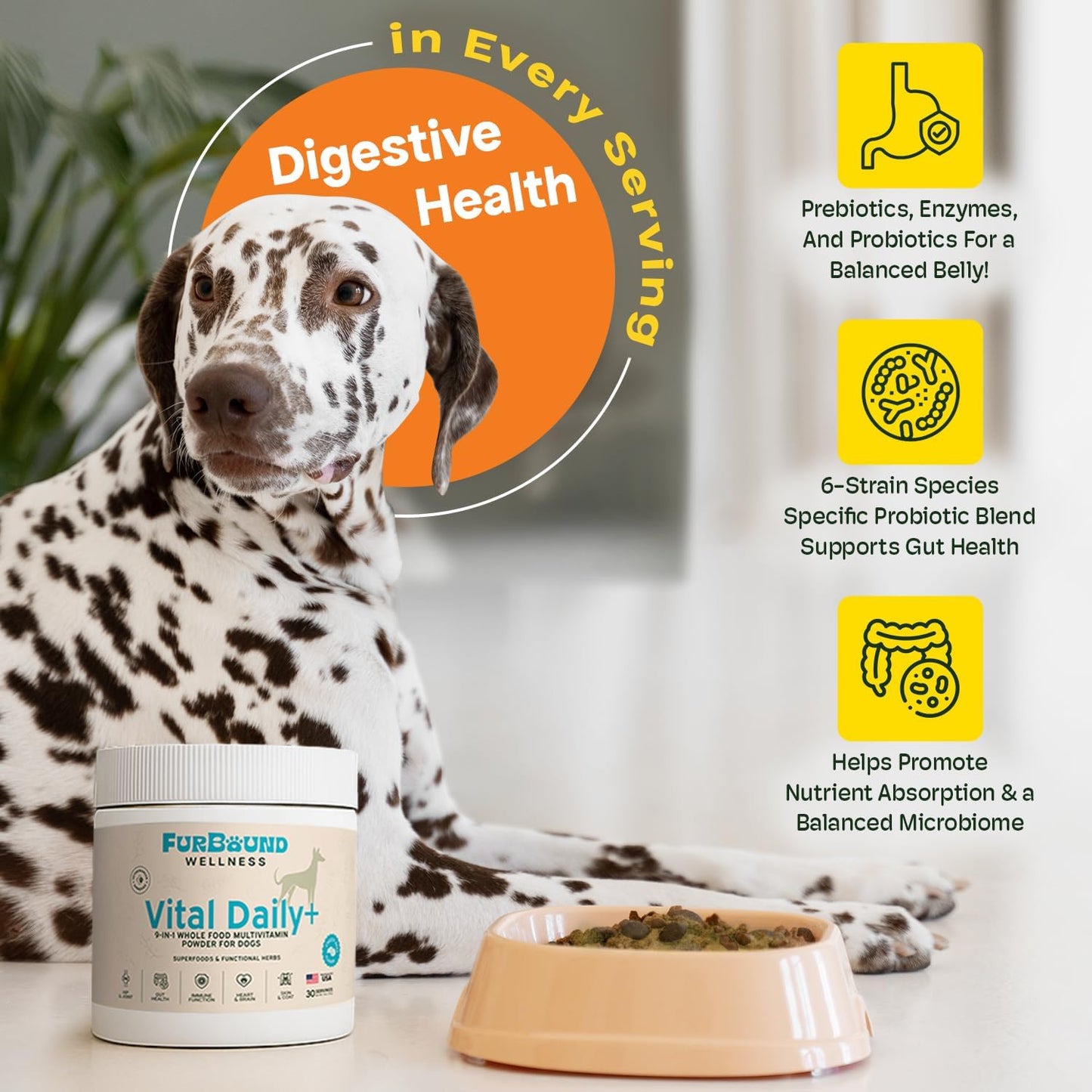 Dog Multivitamin Powder | 9-in-1 Whole Food Dog Vitamins and Dog Supplements That Supports Joint, Digestion, Skin & Coat, Immune, Cognition, Detox, Heart, Antioxidants (Cheesy Beef Flavor)