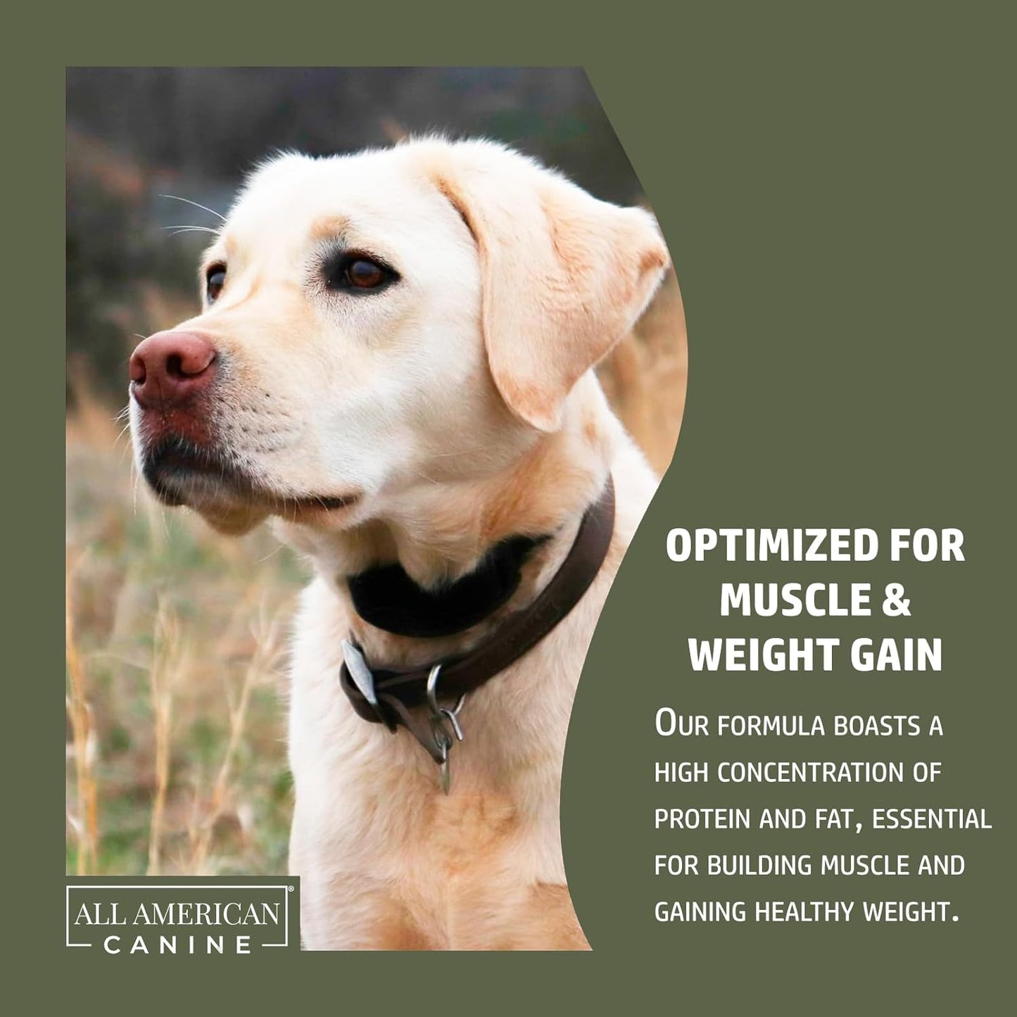 Dog Weight Gainer + Digestive Aid Formula, Natural Health Supplement Food Topper, Weight Gain Supplements for Dogs, & Dog Muscle Builder - 60 Servings