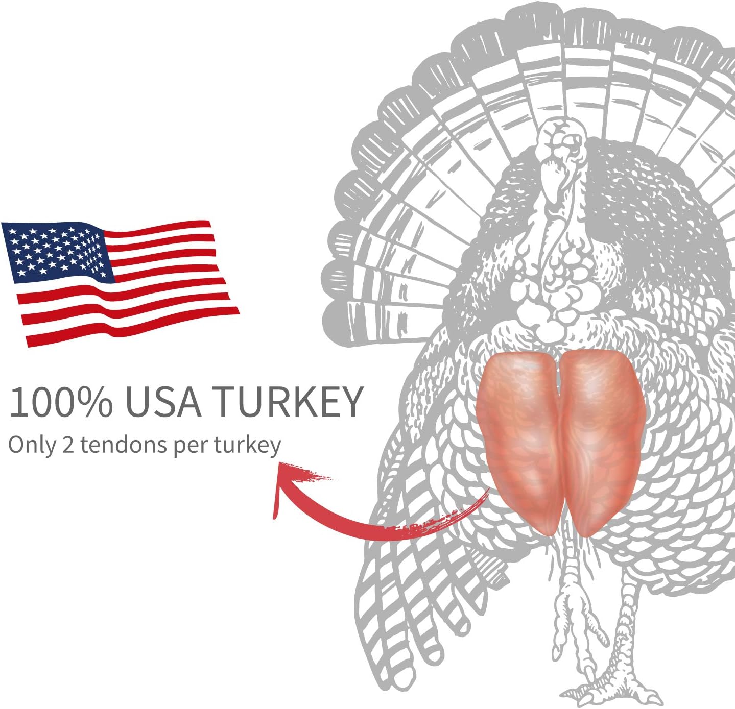 PAPILUX Turkey Tendon for Dogs, Hypoallergenic, All Natural Easily Digest Dog Chew Treat