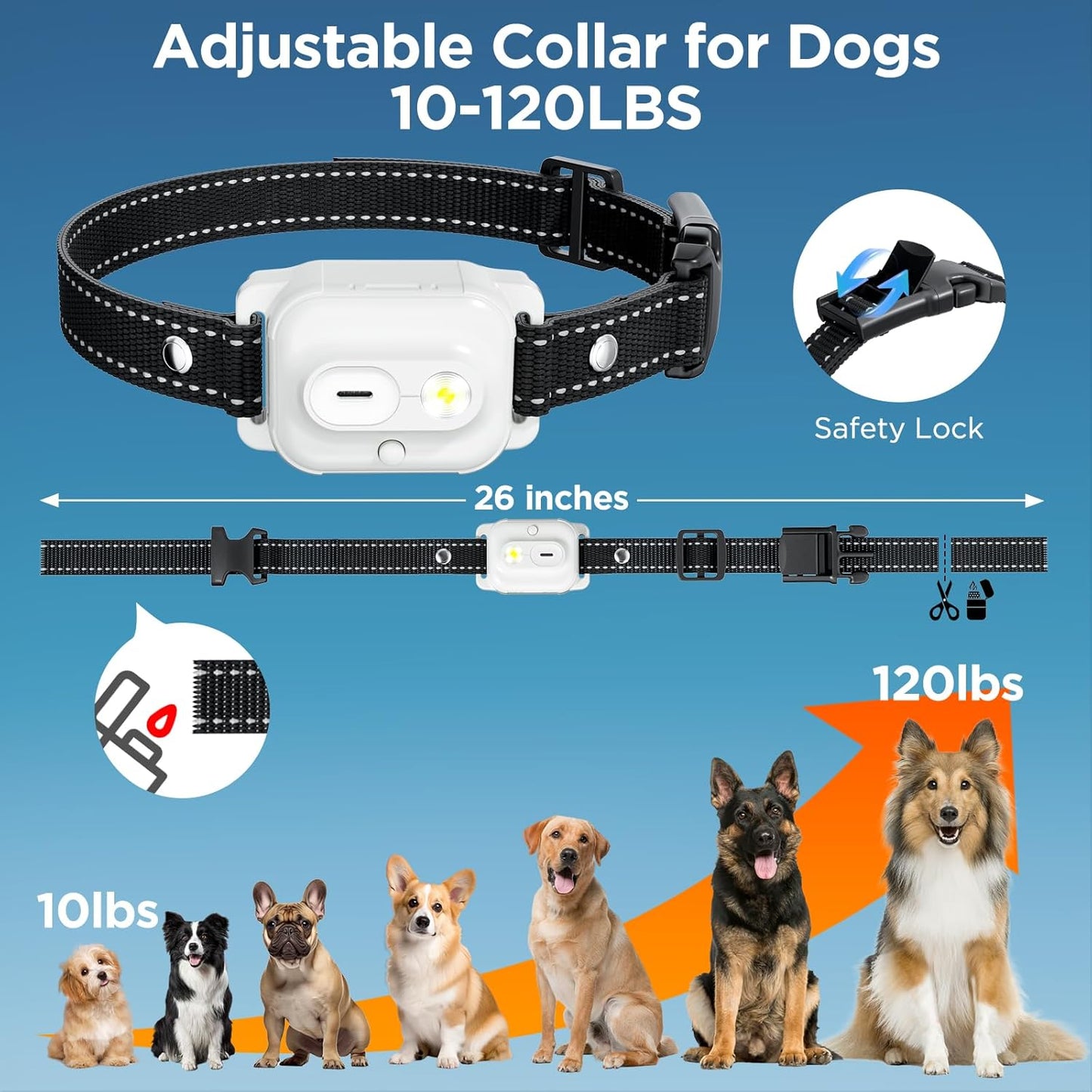 Dog Shock Collar 2 Dogs, 3300ft Dog Training Collar with Remote, IPX7 Waterproof Rechargeable Sleek Modern for All Dogs with Beep, Vibration, Safety Shock, Light Mode, 8-120 lbs NF
