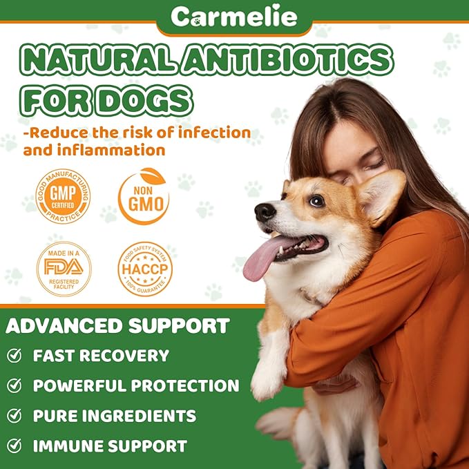 Natural Antibiotics for Dogs - Dog Antibiotics Nutritional Supplements for Skin Issue, Itch Relief, Dog and Cat Herbal Supplement Drops for Pets, Supports Skin Health - 60 ml/2 Fl Oz