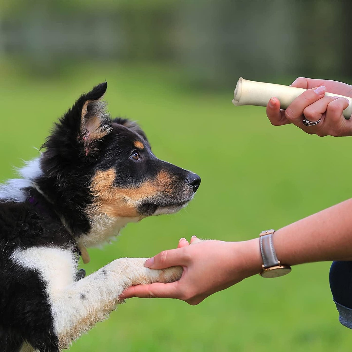 Pet Factory American Beefhide 3" Mini Rolls Dog Chew Treats - Natural Flavor, 40 Count/1 Pack