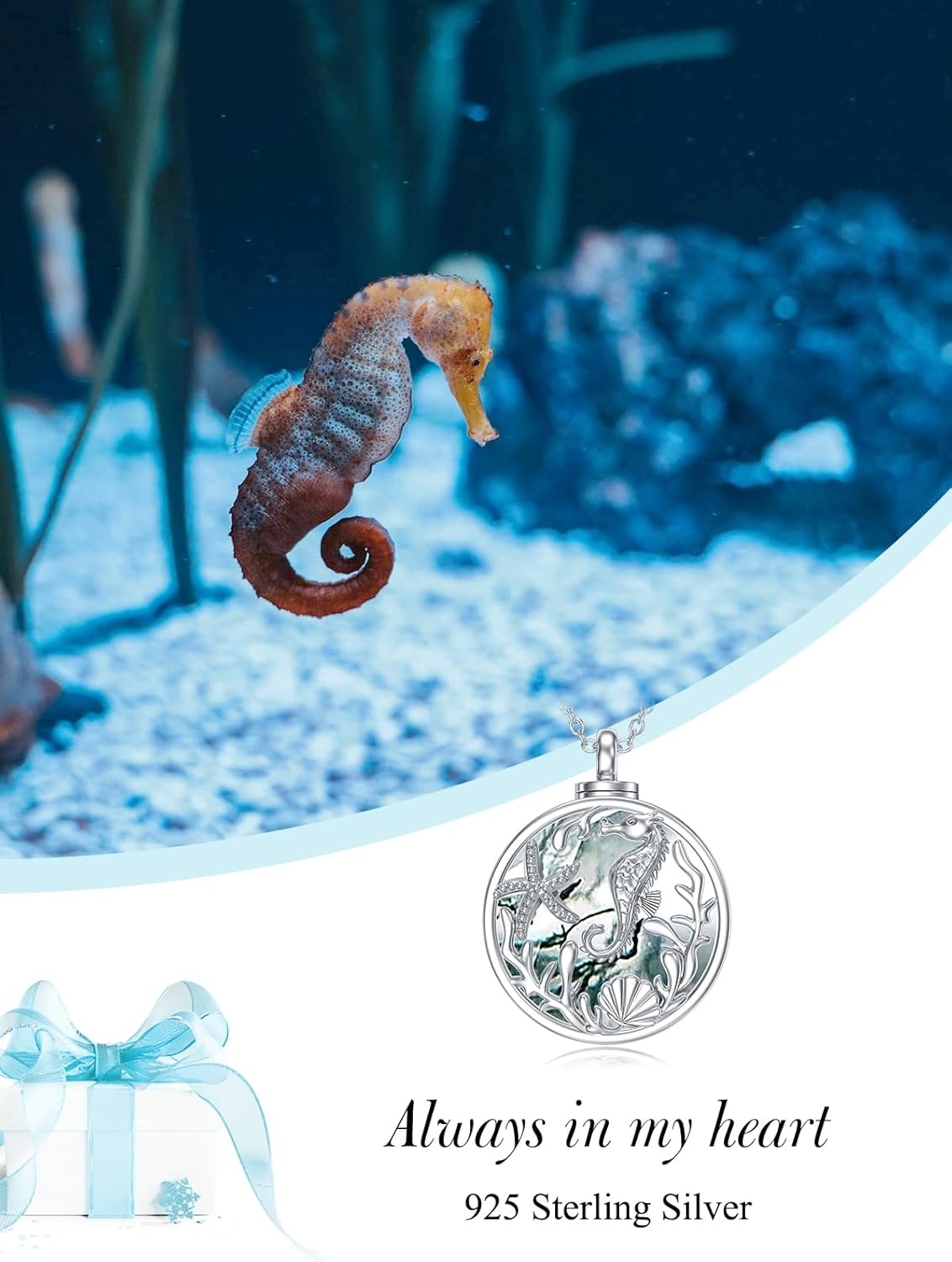 WINNICACA Urn Necklace for Ashes Sterling Silver Abalone Shell Cremation Jewelry for Ashes Jewelry Gifts for Nature Lovers Keepsake Memorial Jewelry for Women