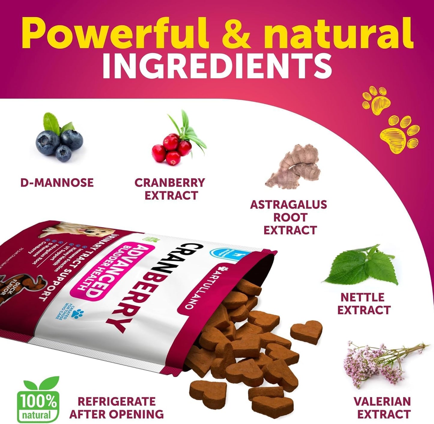 Dog UTI Treatment - Cranberry Supplement & Bladder Control for Dogs - Urinary Tract Infection Incontinence Pill, Bladder Stones - UTI Medicine Treats - 70 Soft Chews for Kidney Support with Fish Oil