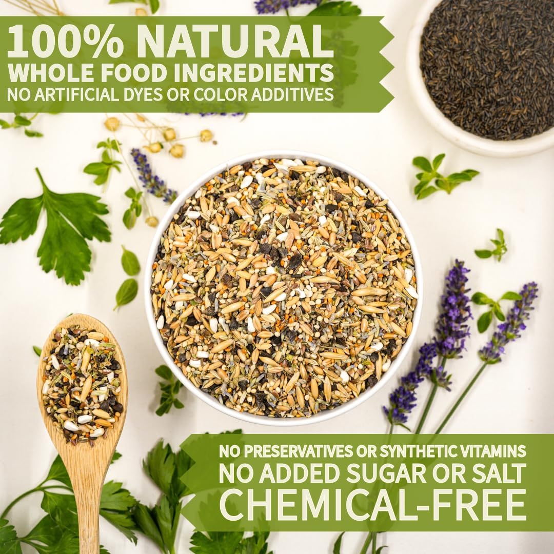 Premium Parrot Food| Protein-Rich Low-Fat Formula | Cockatiel, Conure, Lovebird, Quaker, Parrotlet | No Corn, Soy, Peanuts | Gourmet Whole Grains & Seeds | Daily Maintenance Blend (1 lb)