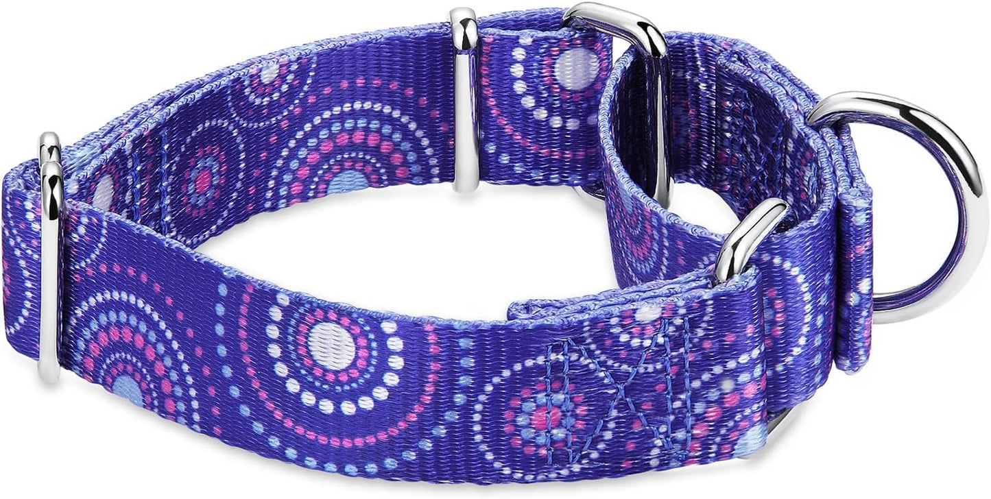 Martingale Collar Dog Collar No Pull Pet Collar Heavy Duty Dog Martingale Collars Silky Soft with Unique Pattern for Medium and Large Dogs (Small, 5/8 Inch Wide, Firework Dots -Royal Blue)