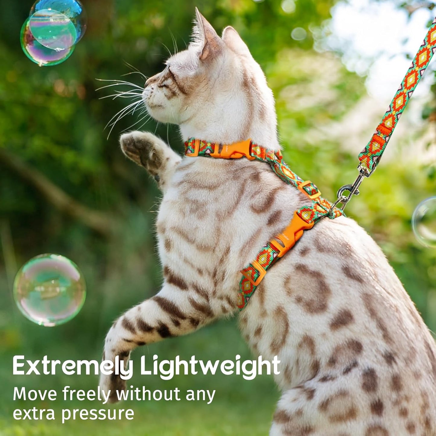 Dooradar Cat Harness and Leash, Escape Proof Adjustable Kitten Vest, Lightweight Soft Pet Straps, Easy Wearing for Small Medium Kitty Safe Walking Travel Control, Multicolor, M