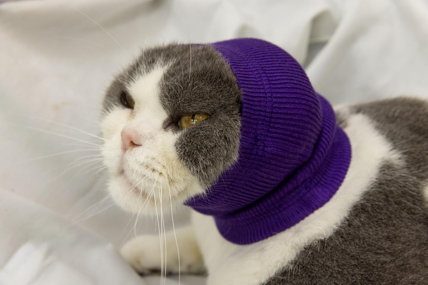 Cat Hematoma Ear Wrap, Cat Ear Wrap Cats Anxiety Relief – Noise Canceling for Fireworks, Thunderstorms Purple S