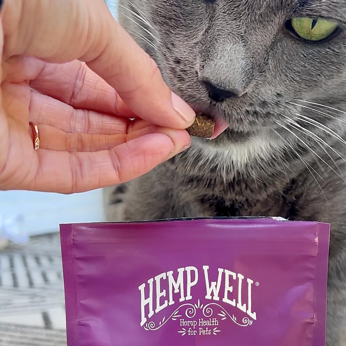 Hemp Well Cat Hairball Soft Chews for Cats, Organic USA Grown, Chicken Cheese & Catnip Flavor!