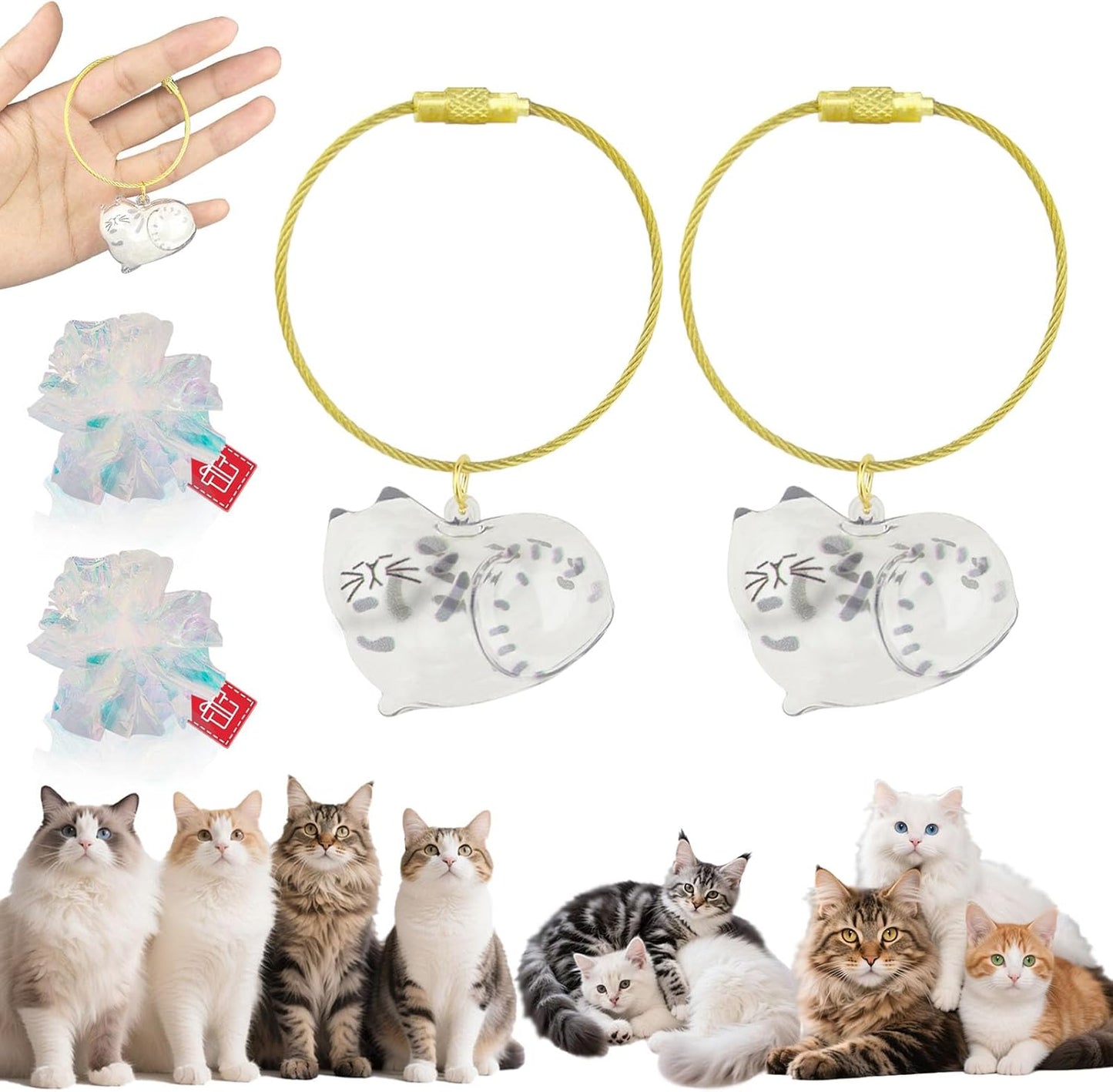 Cat Hair Keychain, 2Pcs Cat Hair Storage Bottle，Pet Fur Keepsake,Pet Hair Storage/Memorial Keychain,Cute Pet Memorial Gifts,[B Model]