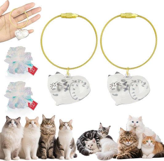 Cat Hair Keychain, 2Pcs Cat Hair Storage Bottle，Pet Fur Keepsake,Pet Hair Storage/Memorial Keychain,Cute Pet Memorial Gifts,[B Model]