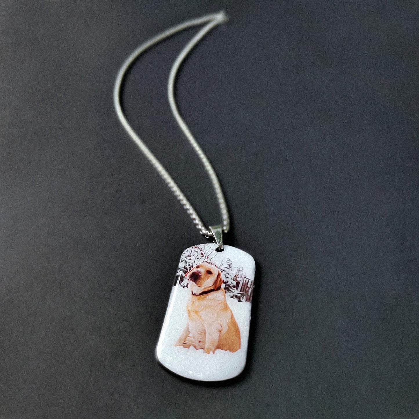 Funnylife Custom Pet Memorial Necklace - Dog Loss Gift - Sympathy for Pet Loss