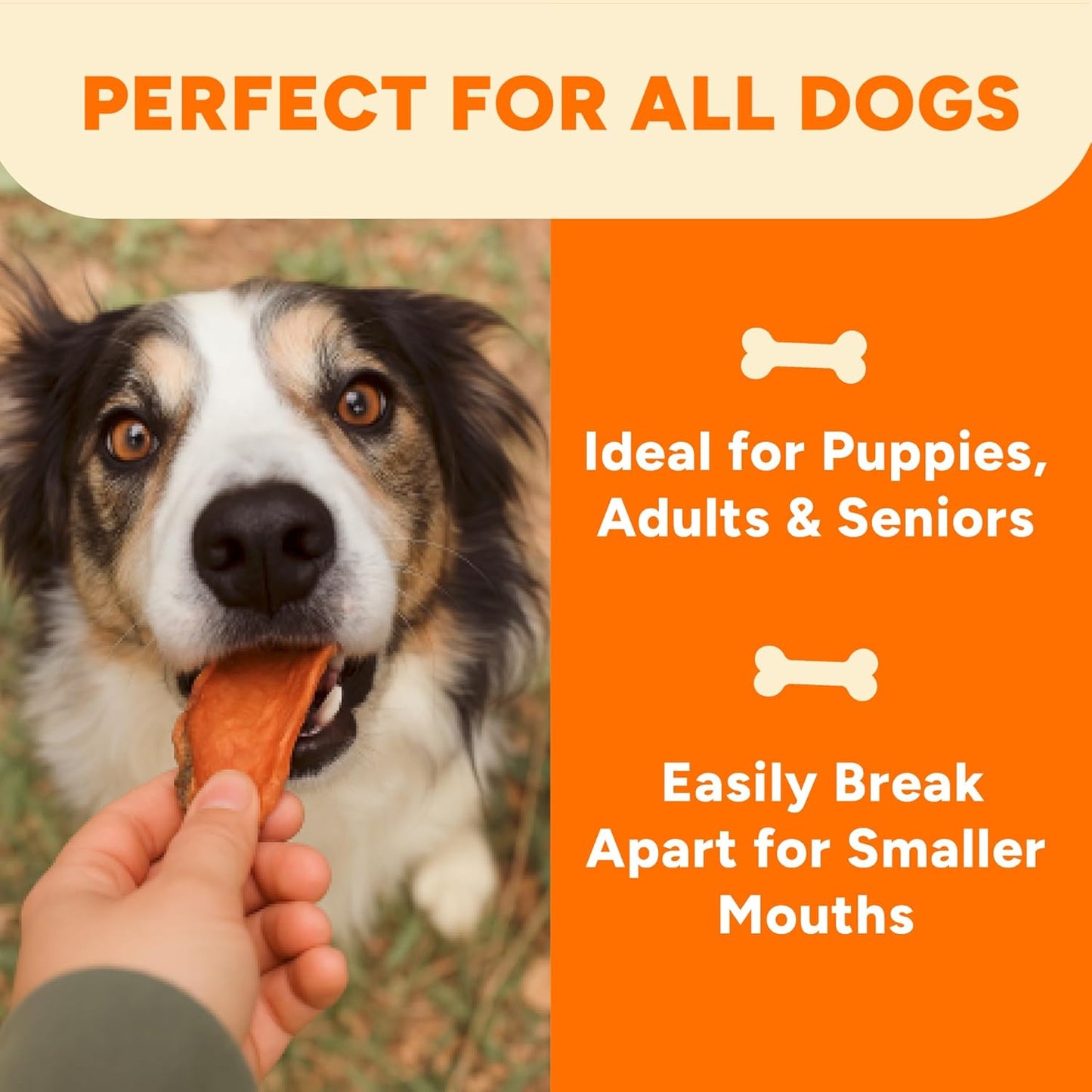 Gaines Family Farmstead Sweet Potato Dog Bones – 32 oz Bag, All-Natural, Single Ingredient, Grain-Free Dog Treats for Digestive Health, High Fiber - Training & Rewards, Made in USA